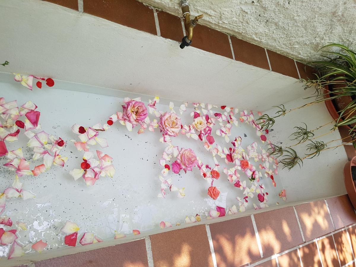 דירות גרנדה Casa Bambu מראה חיצוני תמונה