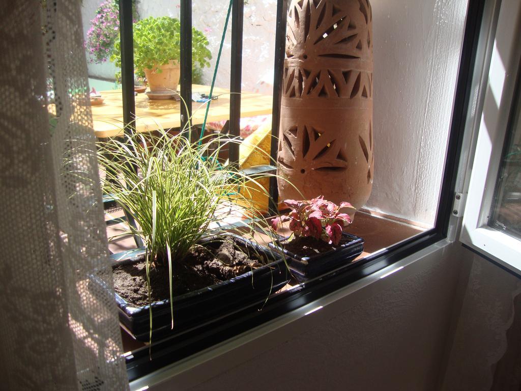 דירות גרנדה Casa Bambu מראה חיצוני תמונה